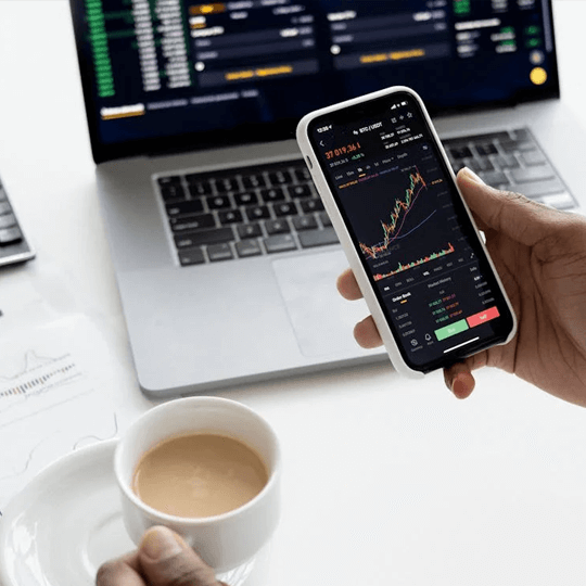 Dawnbay Sylor crypto investment experts team